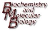 Biochemistry & Molecular Biology